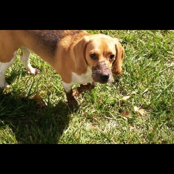 UFC 264 Go 💎Music Fan MMA & Go Dodgers 2021 ⚾️ - Picture 7 of 10